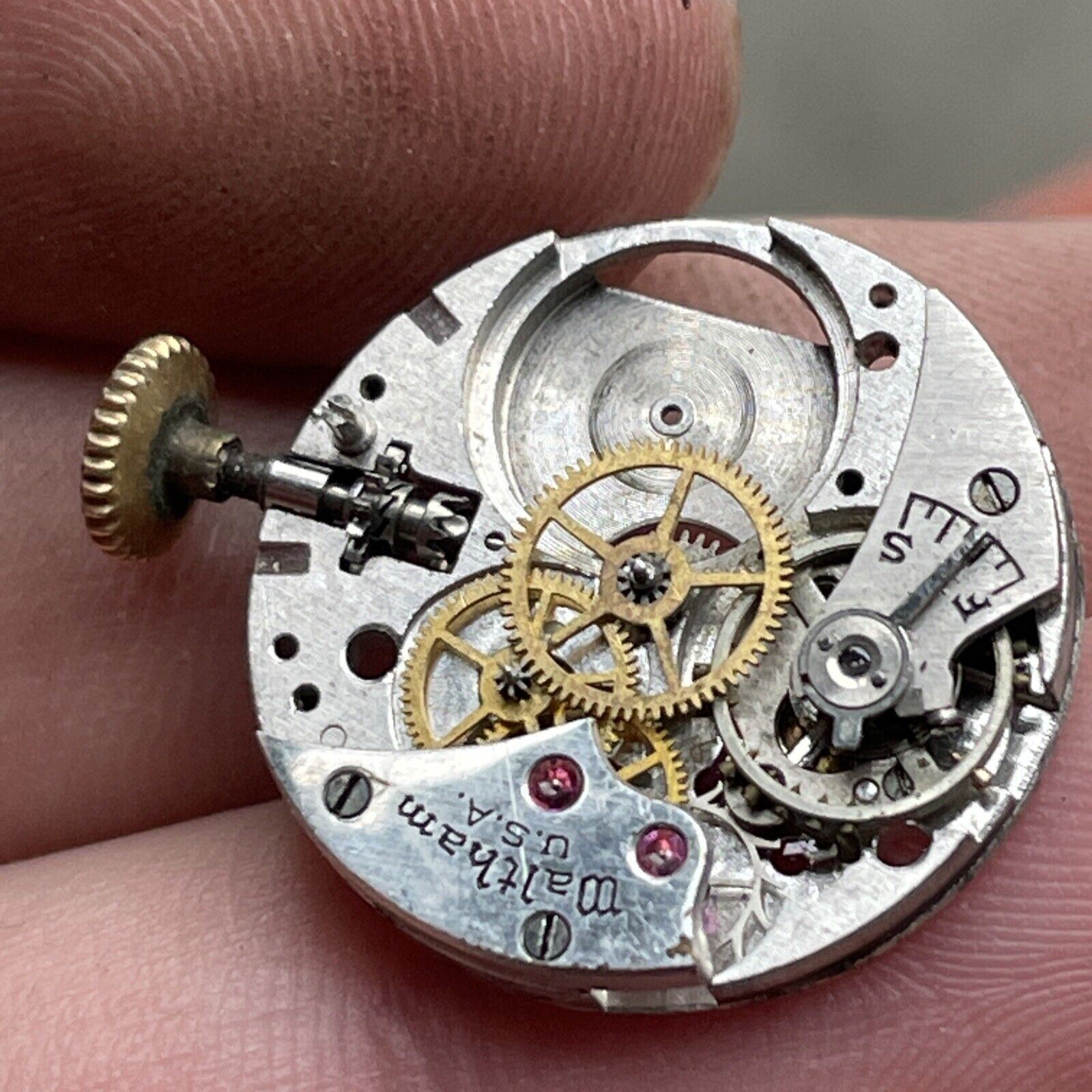 Vintage Waltham Watch Co. Movement.