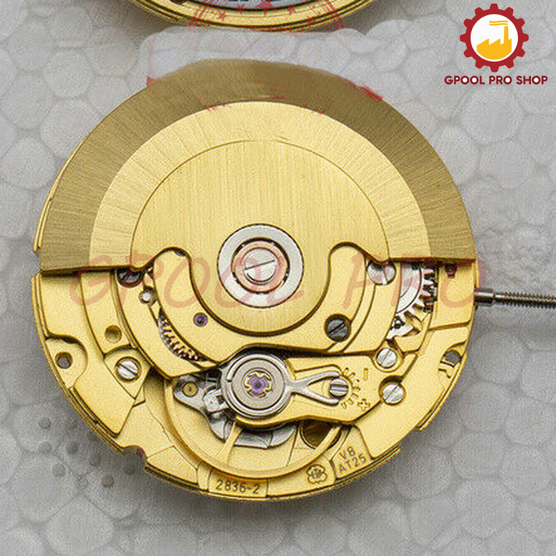 Clone ETA 2836 2836-2 Automatic Movement for Seagul st2146 Gold 2025 NEW ENGRAVE