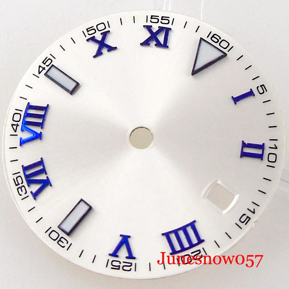 Silver Watch Dial Roman Numbers Lume 29MM Fit NH35 MIYOTA ETA2824 Movement Men’s