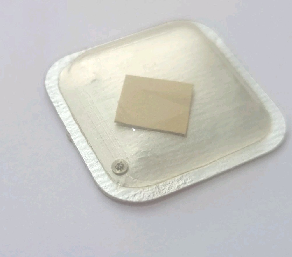 ENICAR WATCH 1121 1125 1126 1141 1145 DOUBLE DATE SETTING WHEEL PART 2542