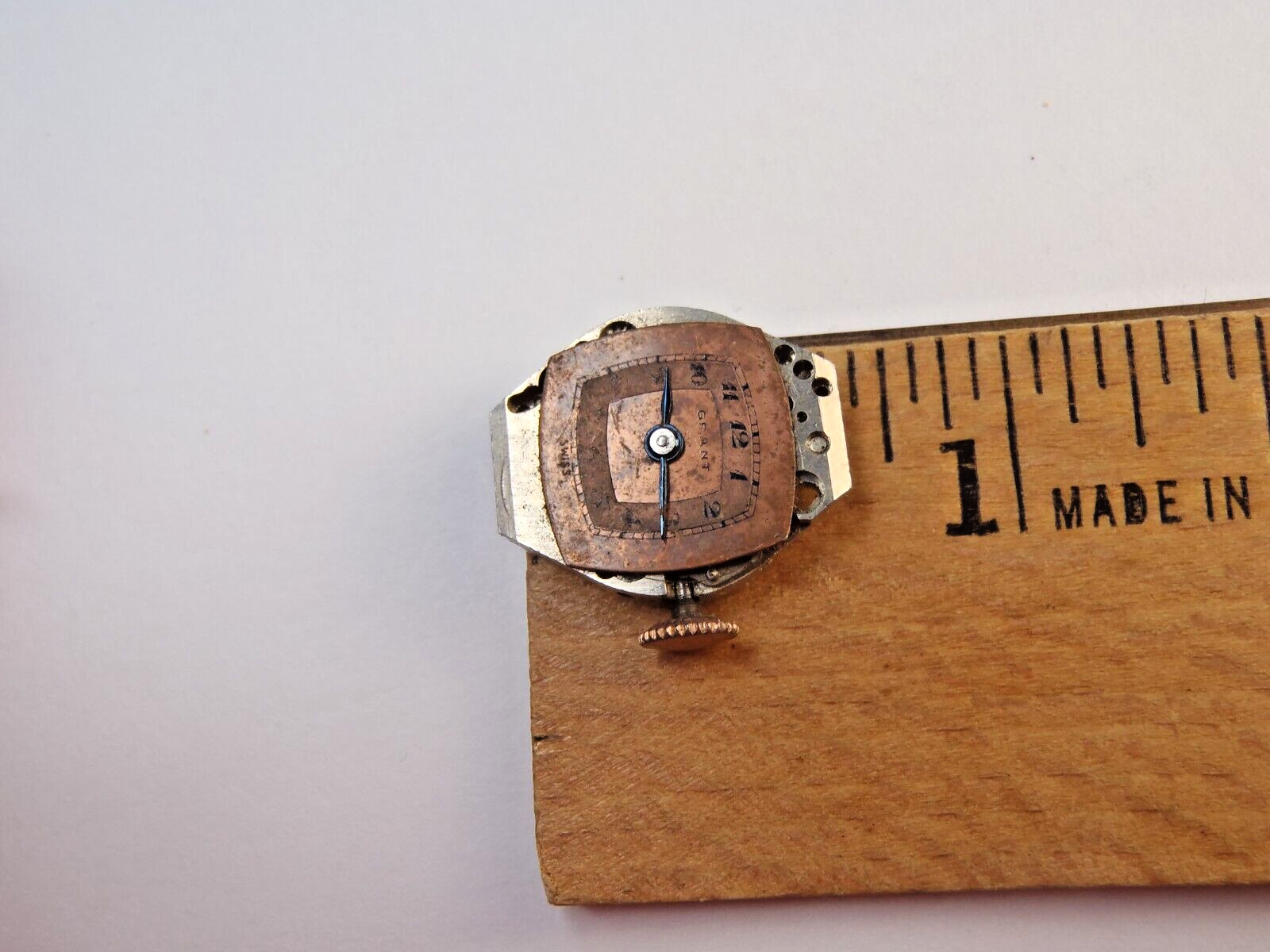 Grant GXR Watch Movement Dial Hands Stem Crown 17 Jewel Balance Rotates