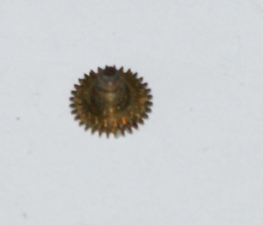 AS CAL. 1291, 1380 HOUR WHEEL PART No. 255