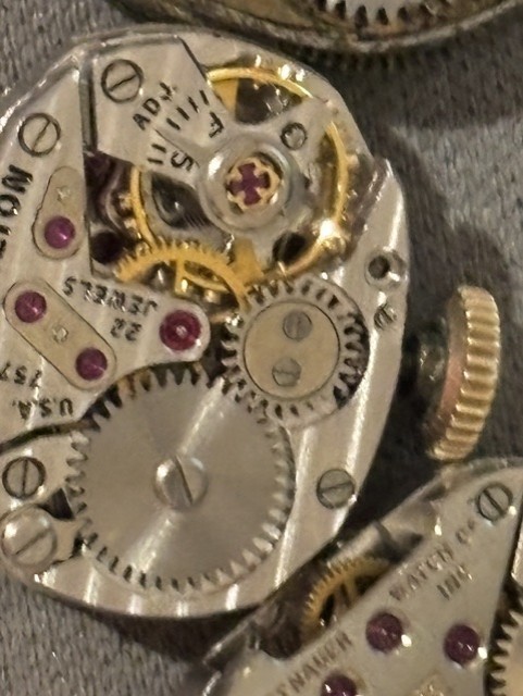 watch movements IRIS, Hammy Wittenhaer