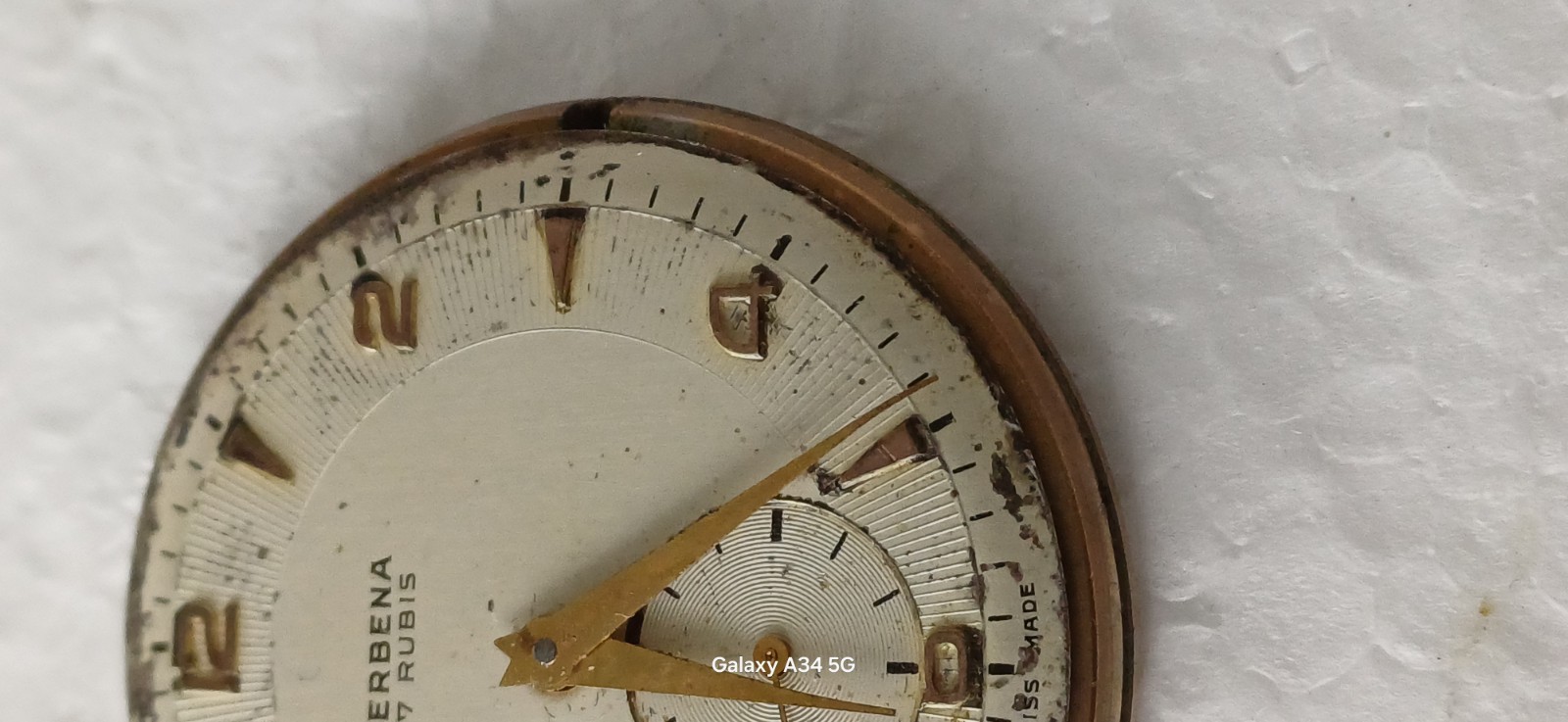 Verbena Working Manual Winding Movement Watch 34mm