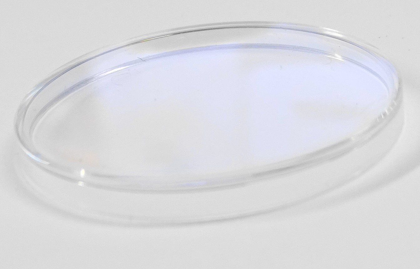 Watch Glass Diameter 21 Mm Flat Top – Vintage Stock Lip