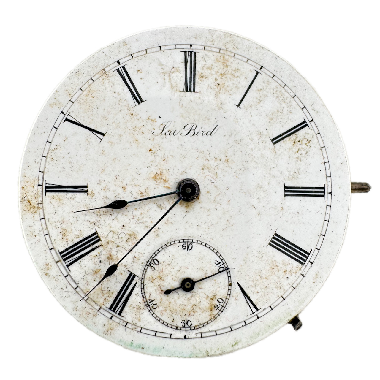 Antique 8s Sea Bird Mechanical Hunter Pocket Watch Movement Agassiz Swiss