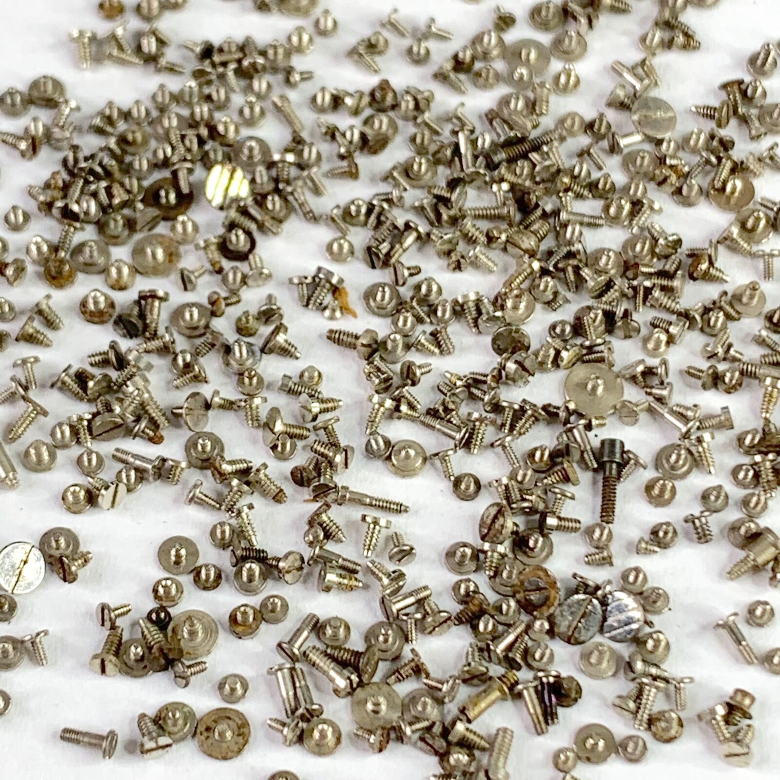 100 Watch Screws Tiny Steampunk Altered Art Parts Watchmaker Lot Repair Wrist
