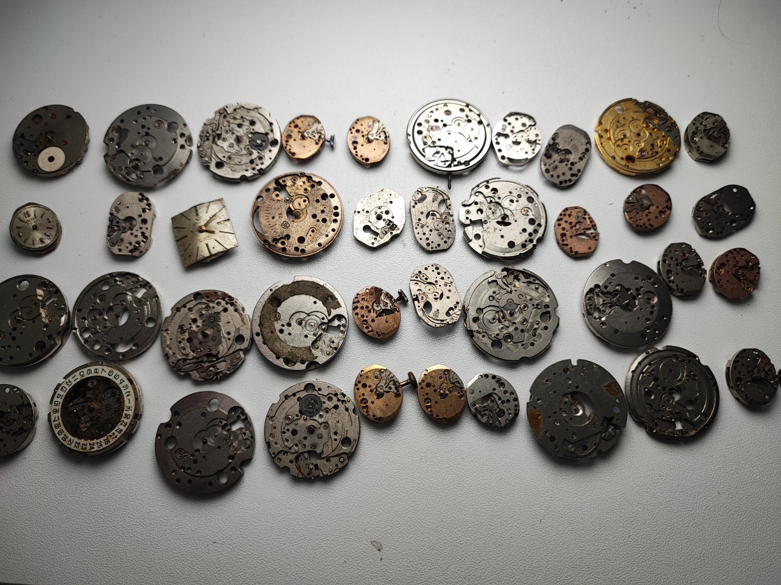 mix Watch Main Plate lot watchmaker fef fhf as eb fe others