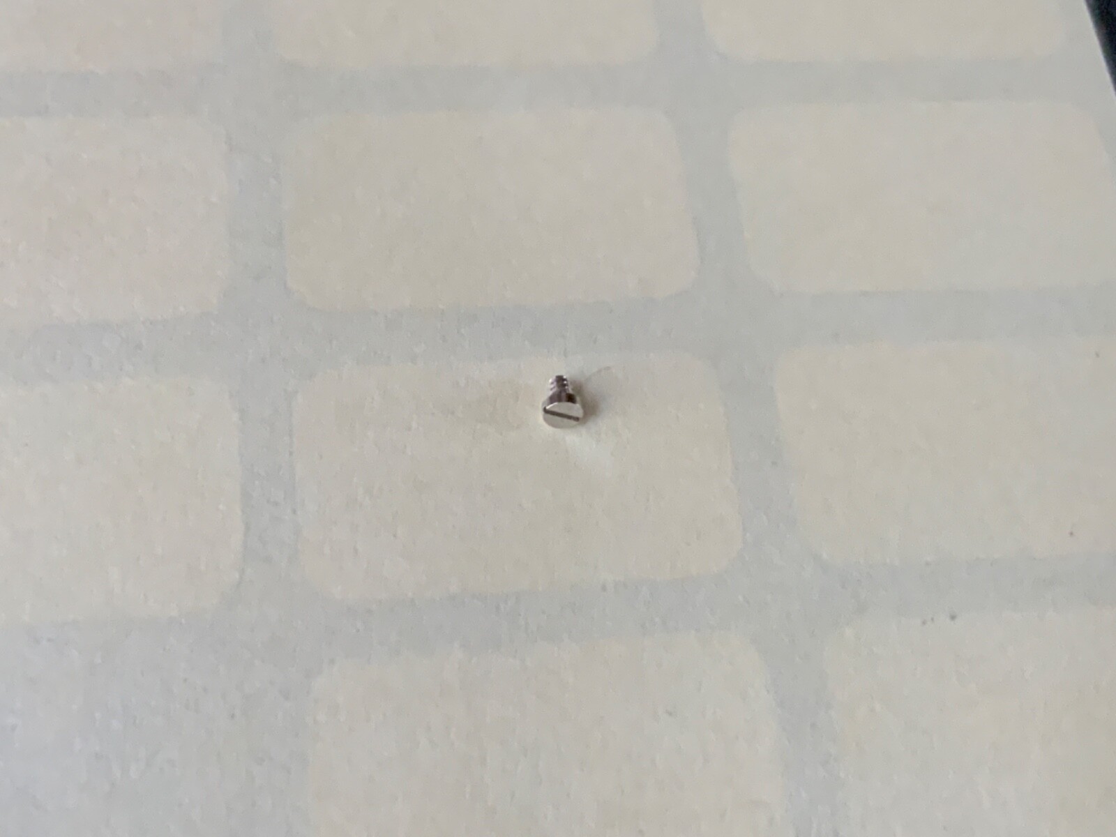 One Case Screw Replacement Part For 3055 Movement / Part 166