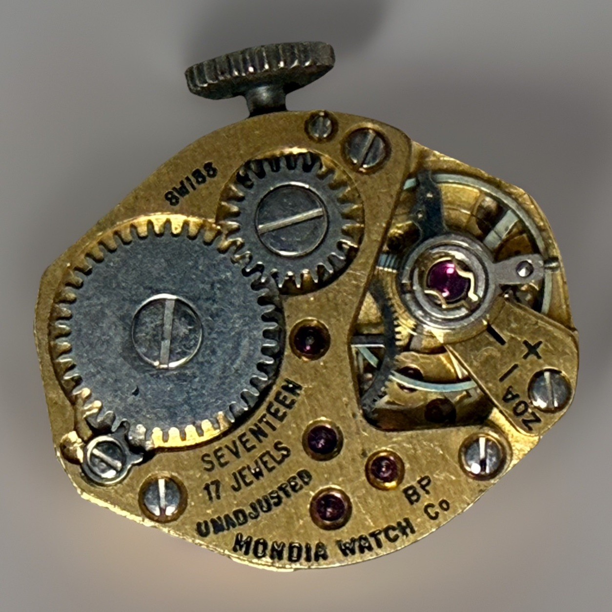 ✨🕰️ Duval 17 Jewel Swiss Mondia Movement – Project