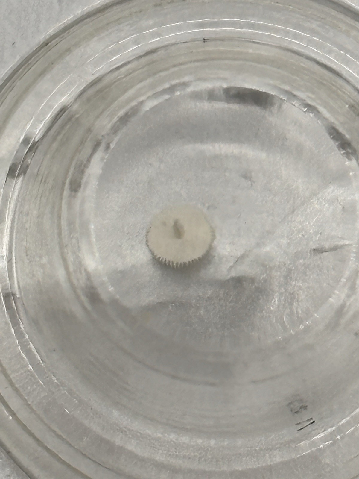 Seiko 231 807 Watch Part