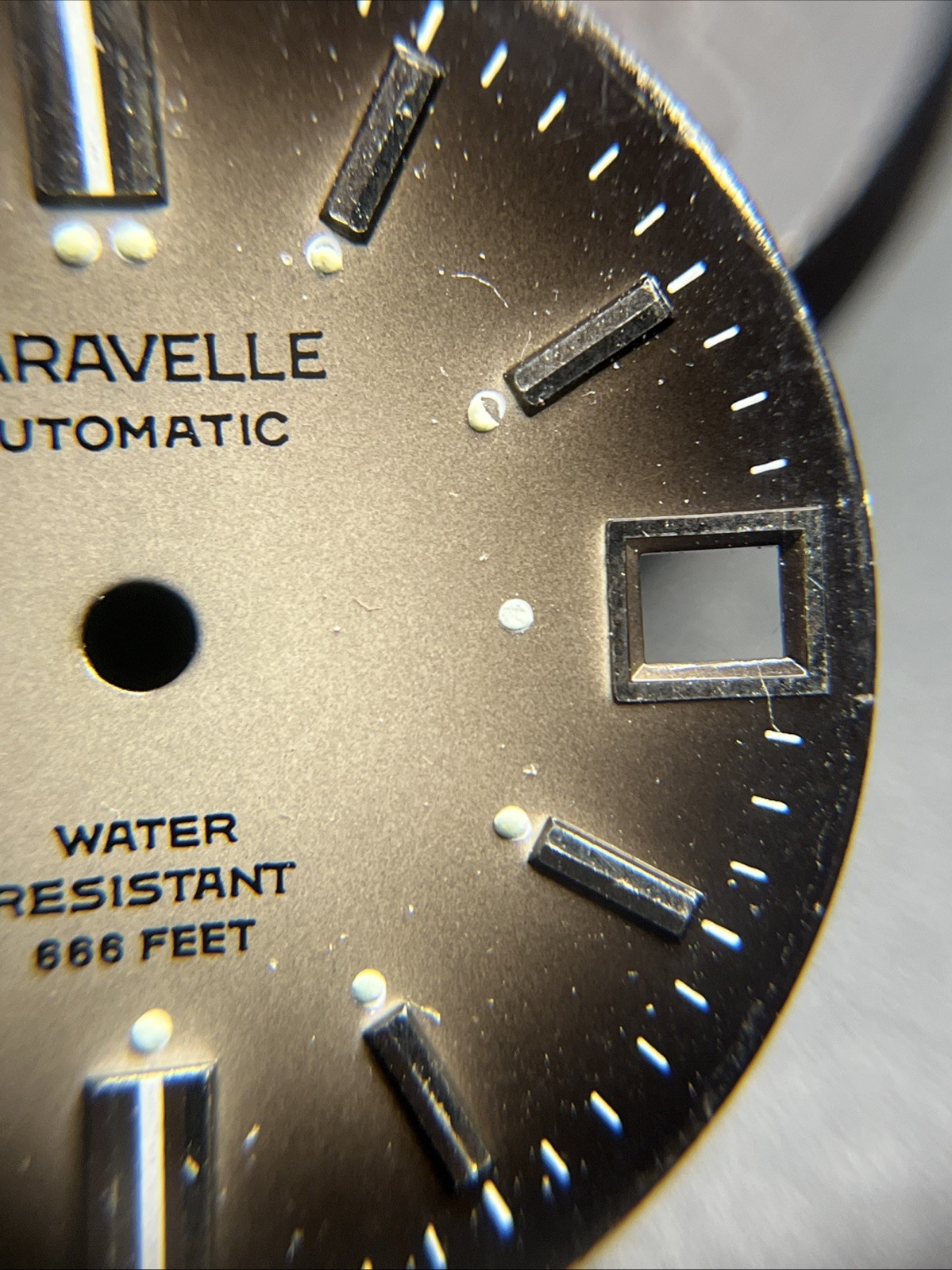 Carvavelle Cal. 11OWACD Movemwnt With 666 Devil Diver Dial (015)
