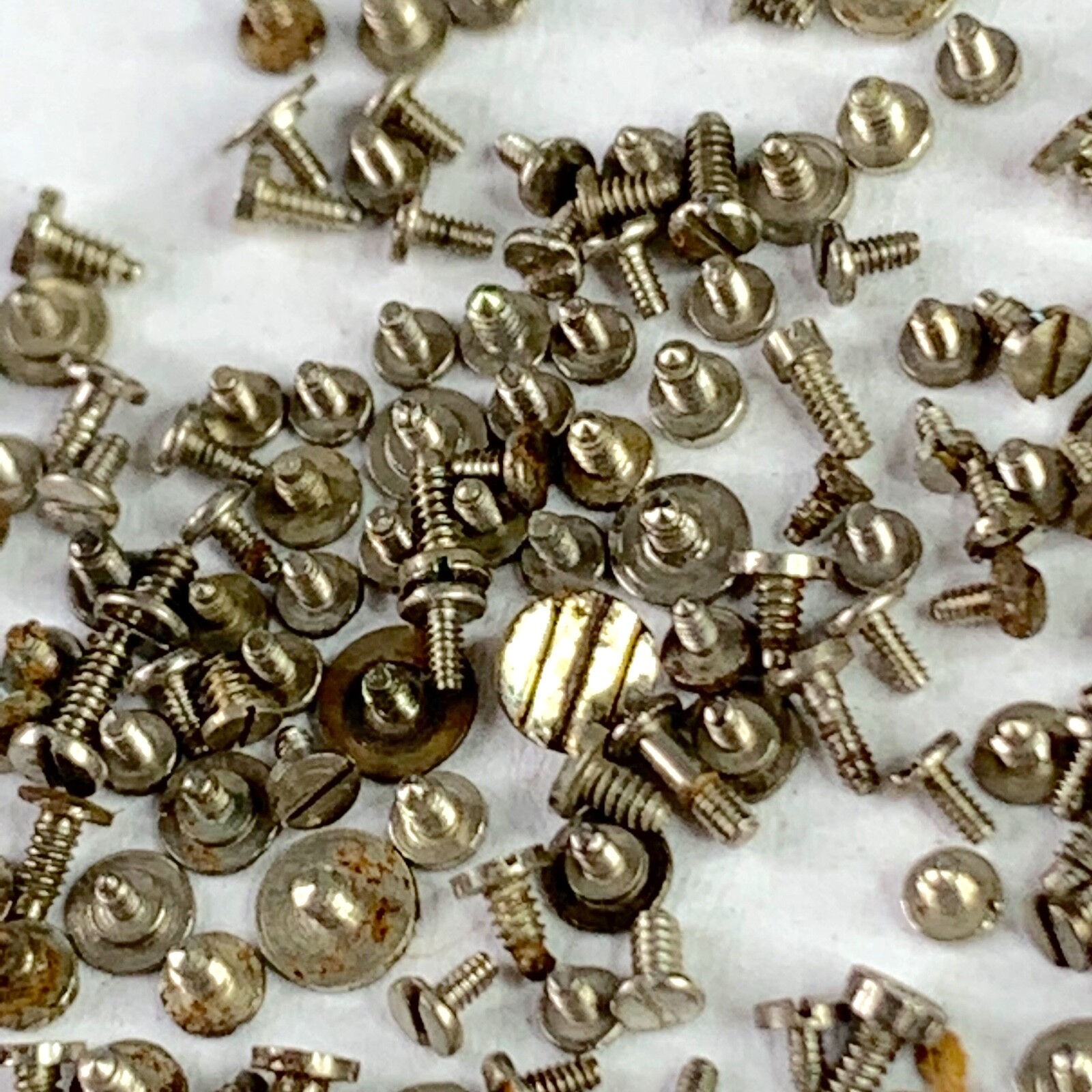 100 Watch Screws Tiny Steampunk Altered Art Parts Watchmaker Lot Repair Wrist