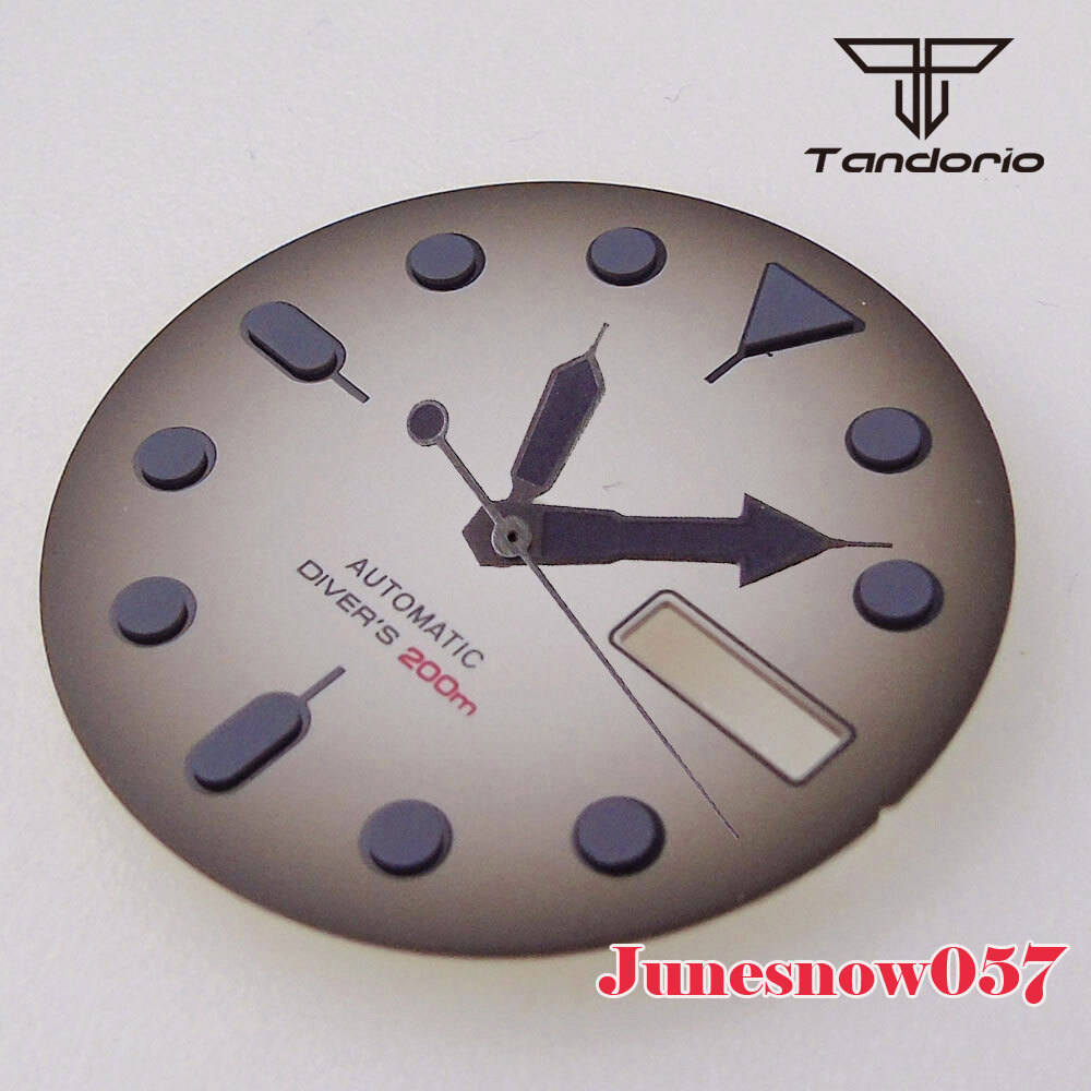 29MM Sterile Vintage Black White Men Watch Dial Accessories Parts Fit NH36 NH36A