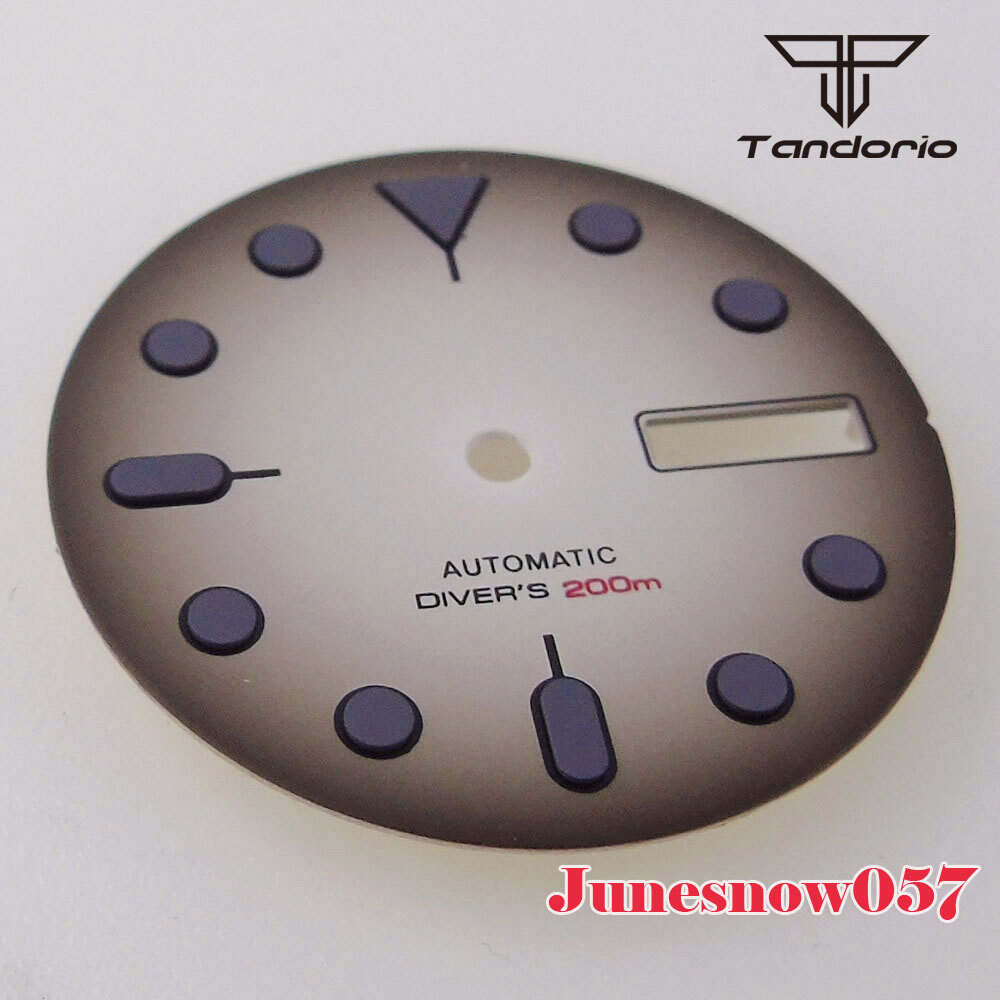 29MM Sterile Vintage Black White Men Watch Dial Accessories Parts Fit NH36 NH36A