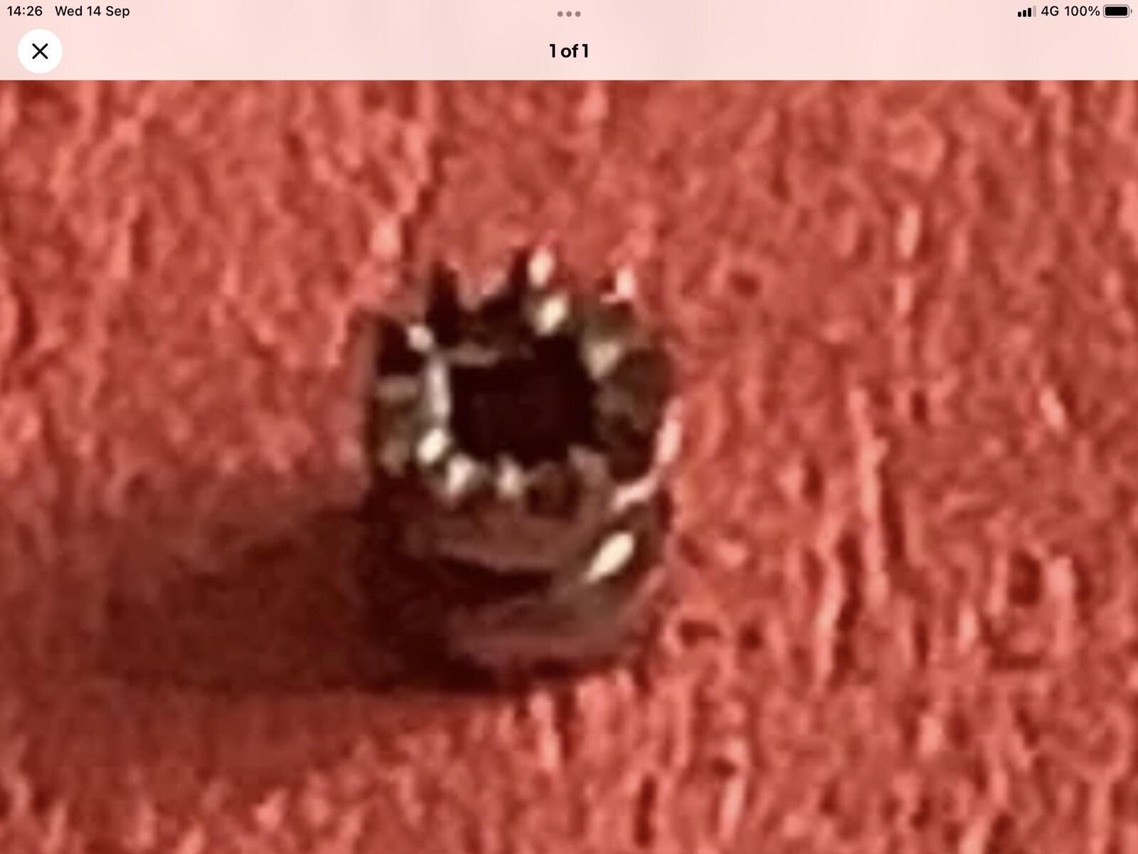 CLASSIC WATCH PART. . LUCH 2209 CASTLE WHEEL