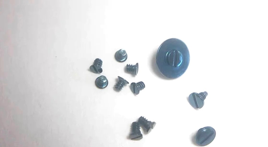 1 Set Blue Screws (10 PCs) FOR ETA 2824, 2834, 2836, 2846, 2892 Movement