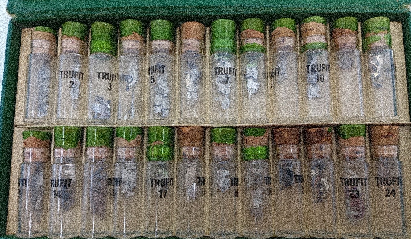 Setting Bridge Assortment