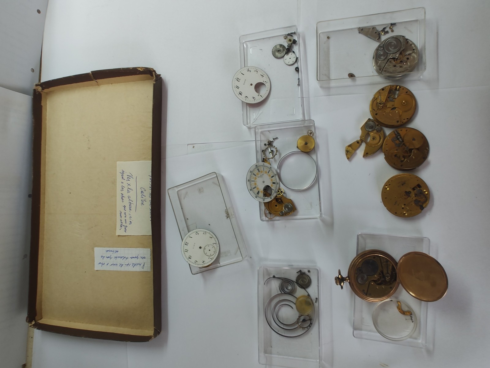 Elite Elgin National Watch Co. Archive: 1900s Movements, Fancy Enamel Dials !!