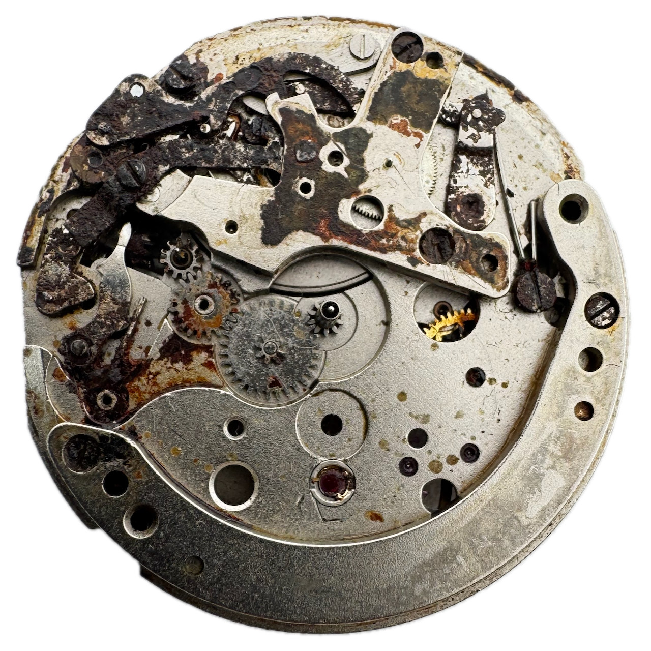 Vintage 31mm Croton Watch Co Chronograph Wristwatch Movement Valjoux 7736 Swiss