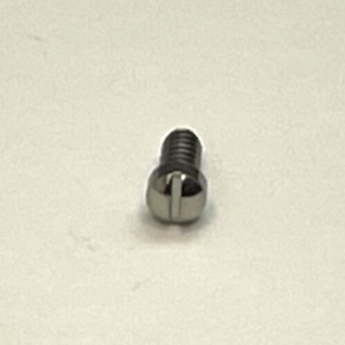OEM PANERAI Bridge/Crown Guard Screw for Luminor 44mm MX000D9N