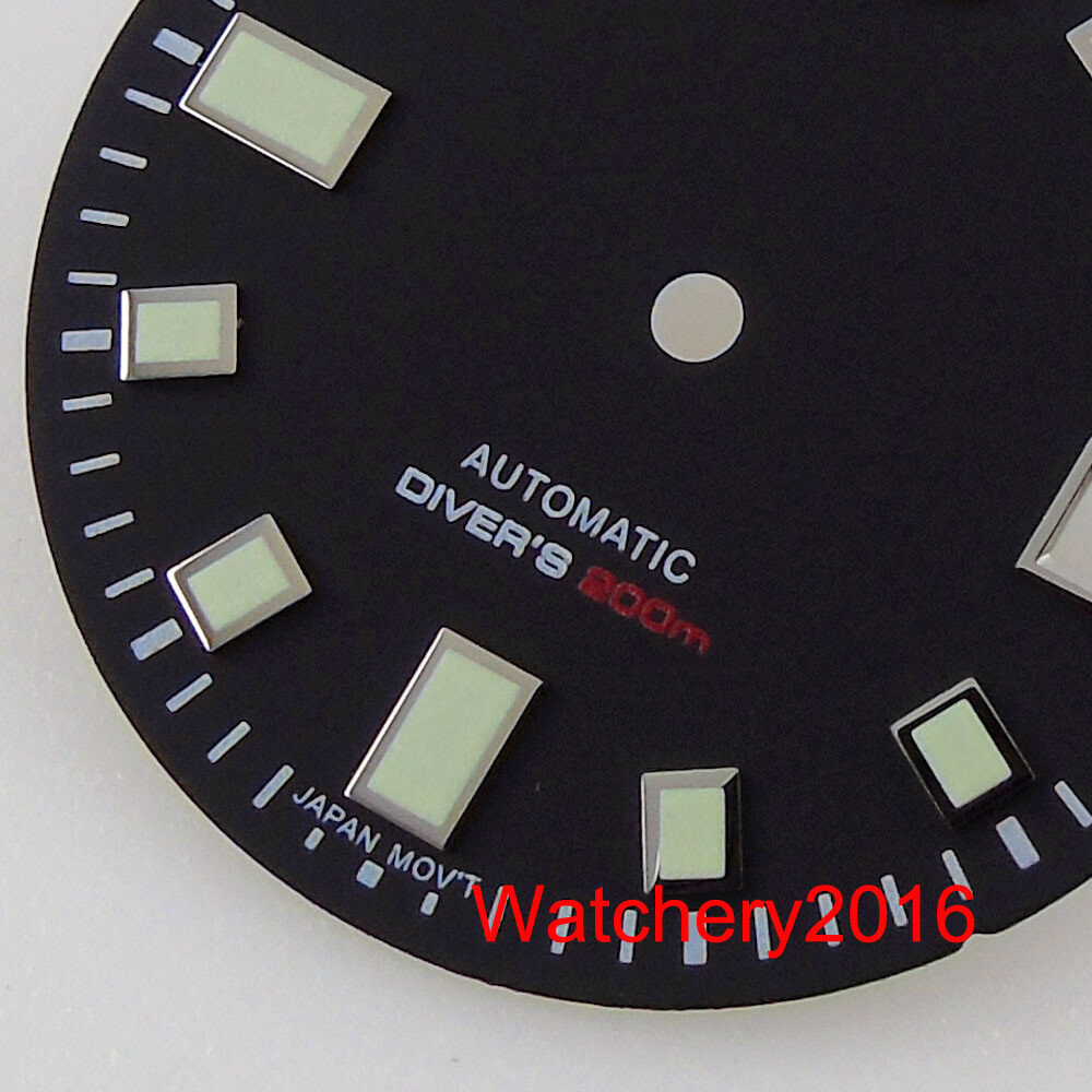 Tandorio Sterile Steel Luminous 29mm Black Watch Dial fit NH35A Date Display