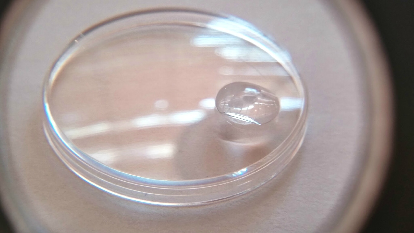 25-114 or 1803 PLASTIC WATCH CRYSTAL “Swiss Made – TO FIT