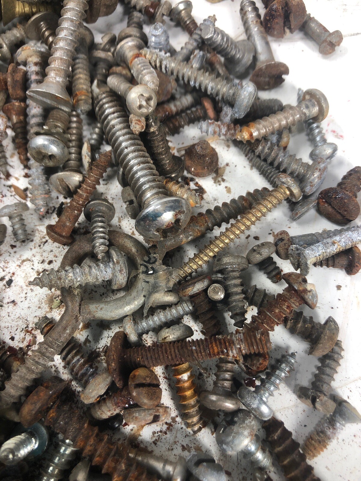 5+ Lbs ANTIQUE AND VINTAGE SCREWS, Fasteners Philips Flat Blade Rustic