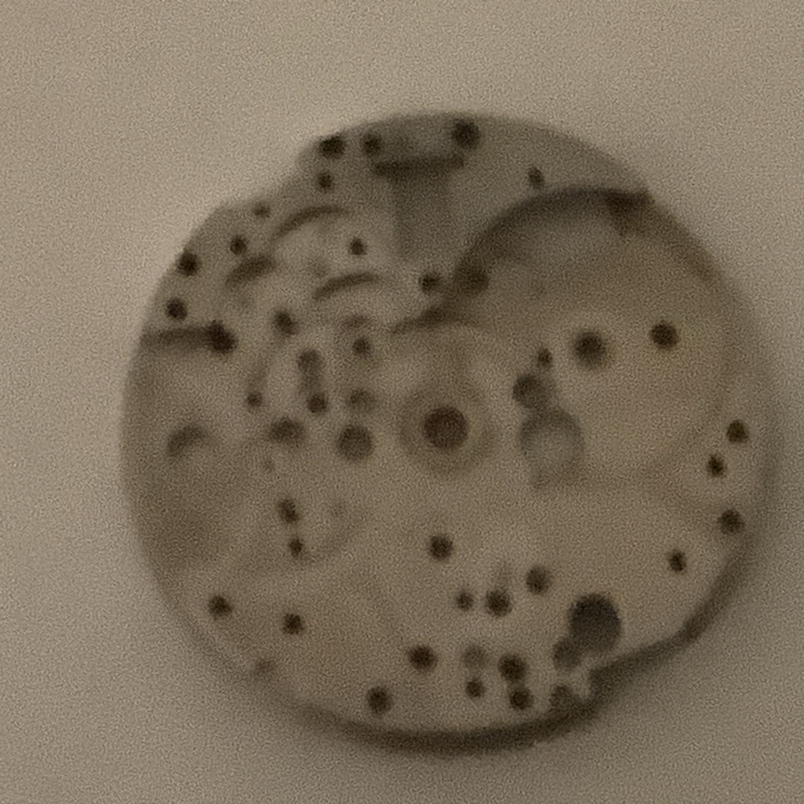 RAKETA 2628H MAIN PLATE
