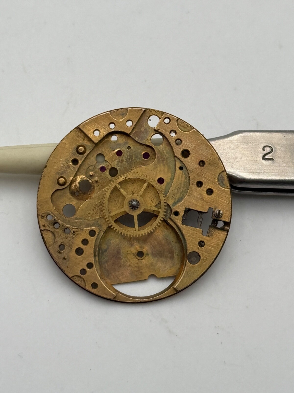 as 1203 platinum main plate movement movement