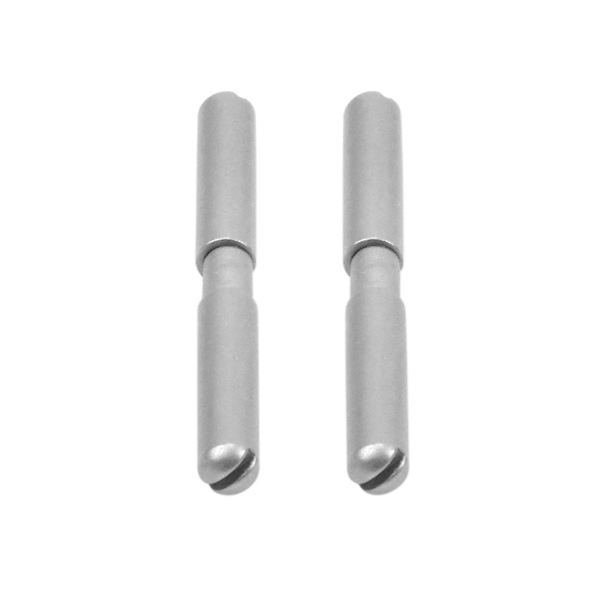 2 PCS WATCH BUCKLE SCREW TUBE BAR FOR FOR RICHARD MILLE RM011 RM035 RM030 WATCH
