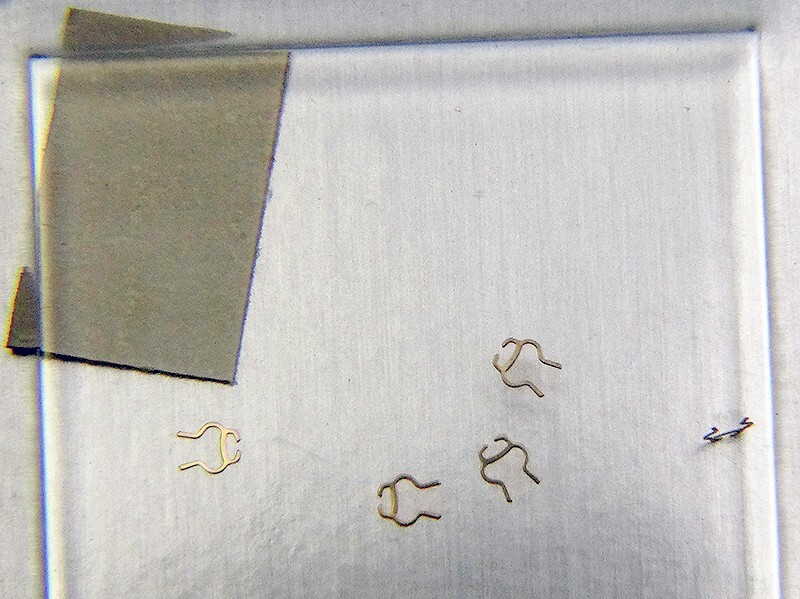 New Genuine Rolex 2030 4494 Cap Jewel Spring for Watch Caliber Movement