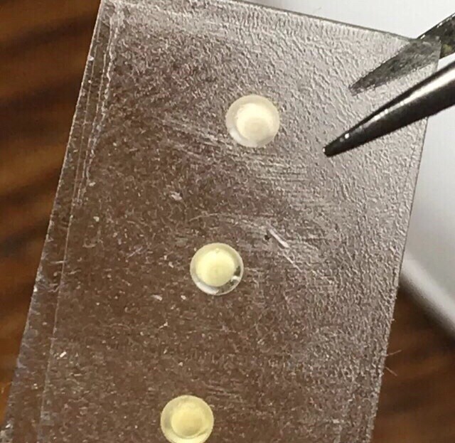 Rolex 5513 / 5512 / 1680 Pearl/Pip (no lume)