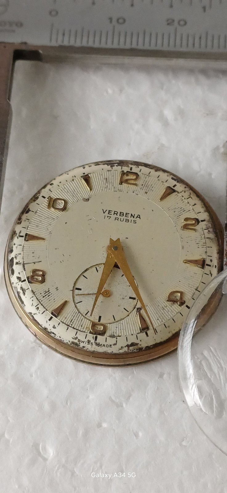 Verbena Working Manual Winding Movement Watch 34mm