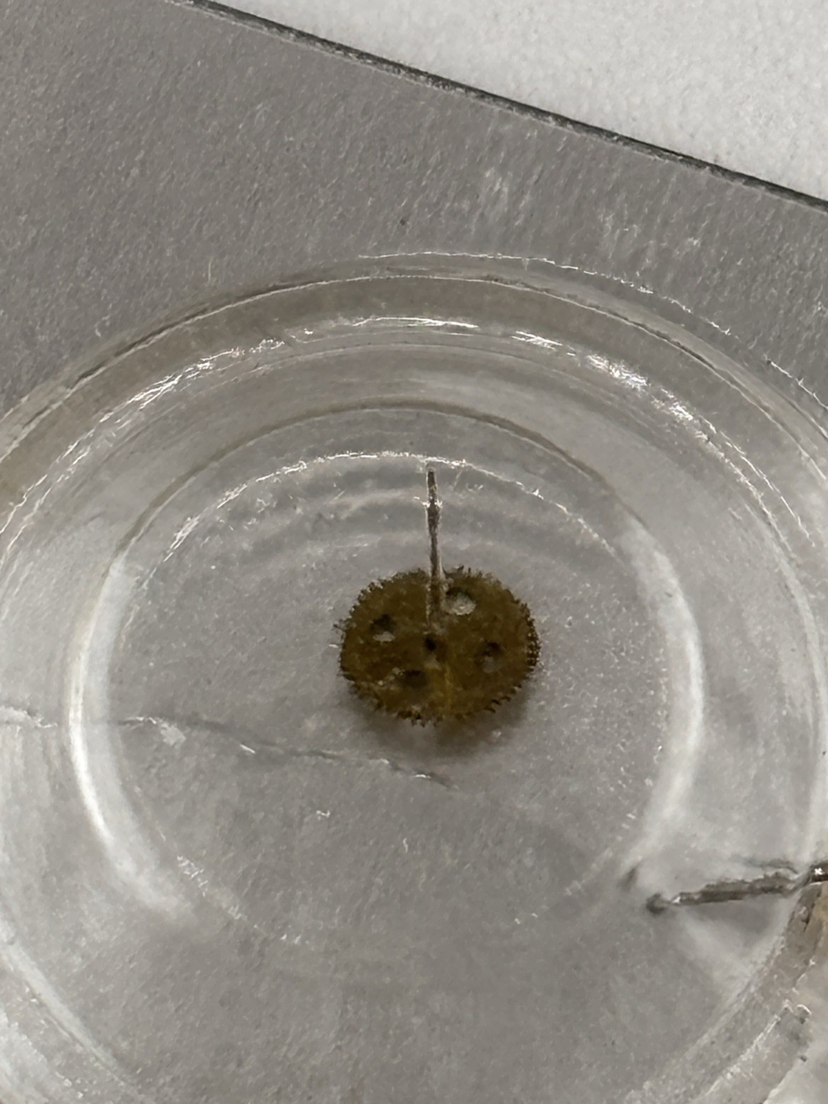Genuine Seiko 241 820 Fourth Wheel