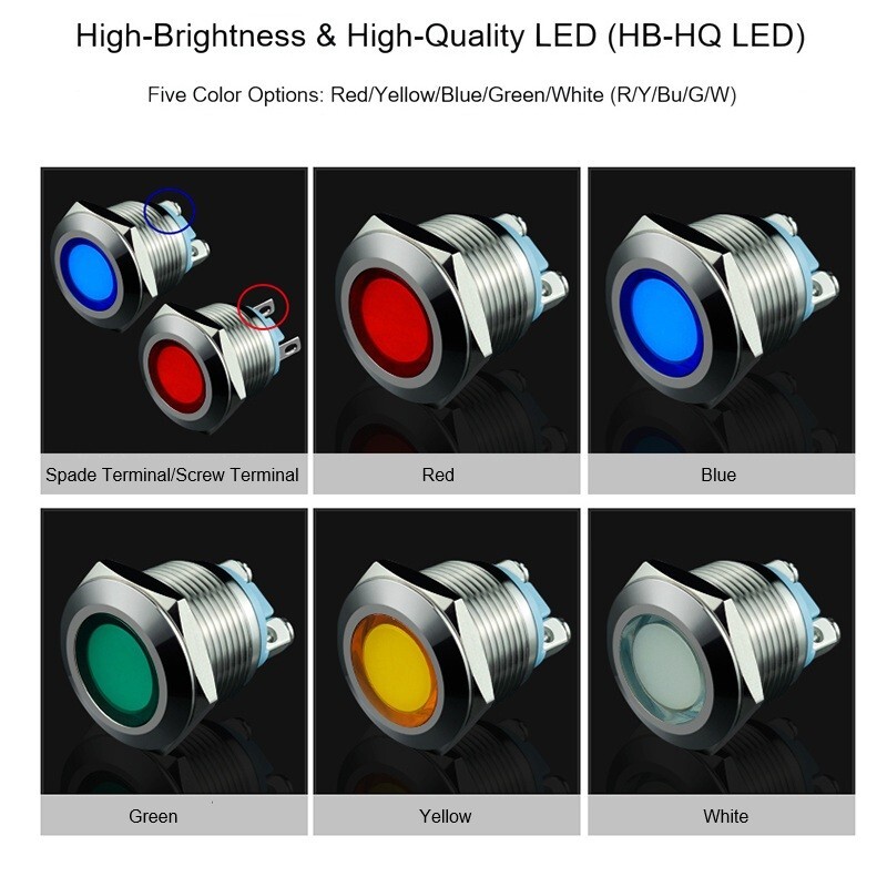19mm Stainless Steel LED Panel Mount Signal Lamp 24V IP66 Rated Industrial Grade