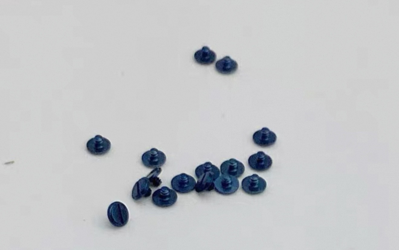 1 Set Blue Rotor Screws (10PCs) FOR ETA 2824, 2834, 2836, 2846, 2892 Movement