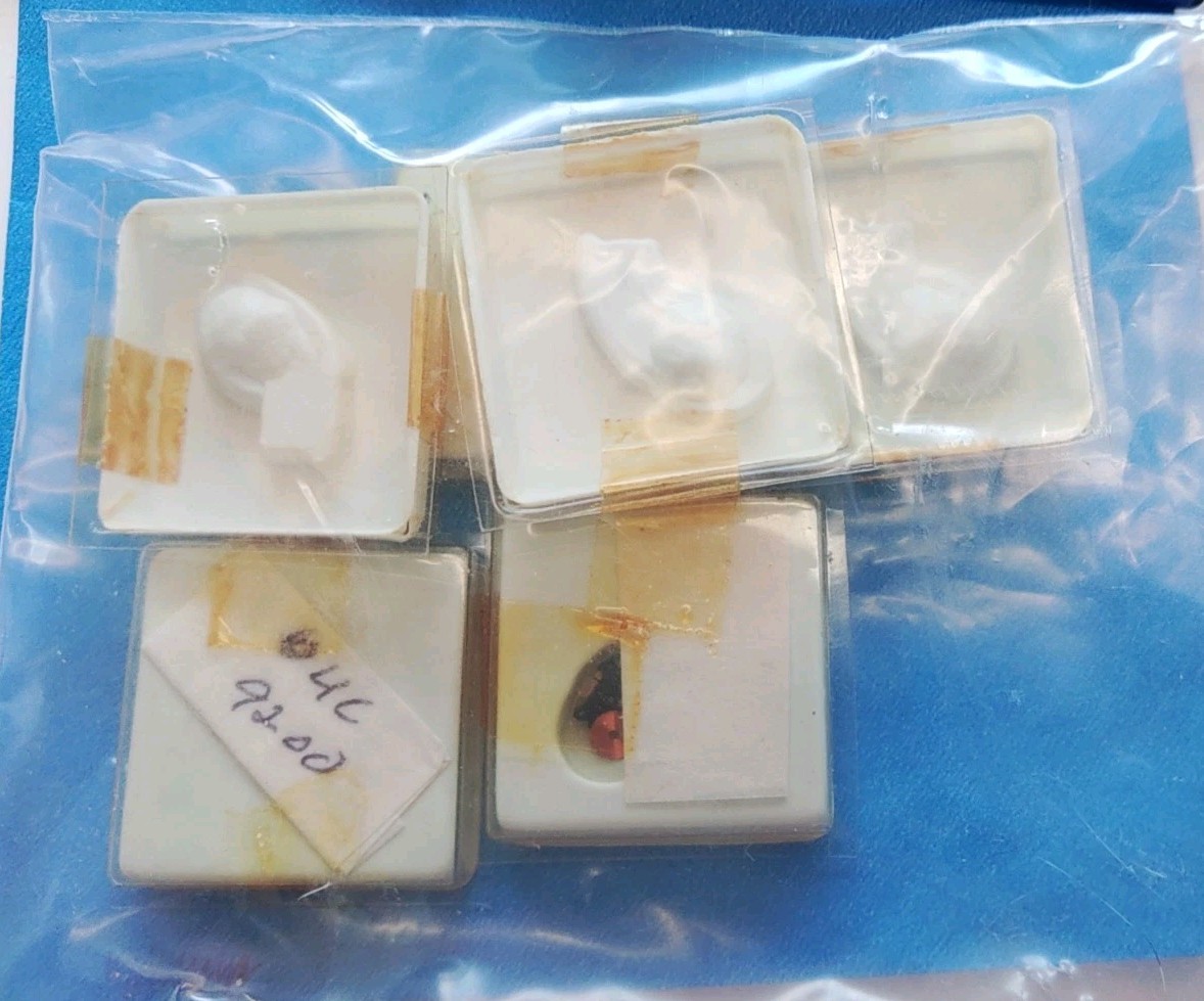 NOS ESA 9200 Circuit With Coil Part #4000. All Tested In Working Movement .