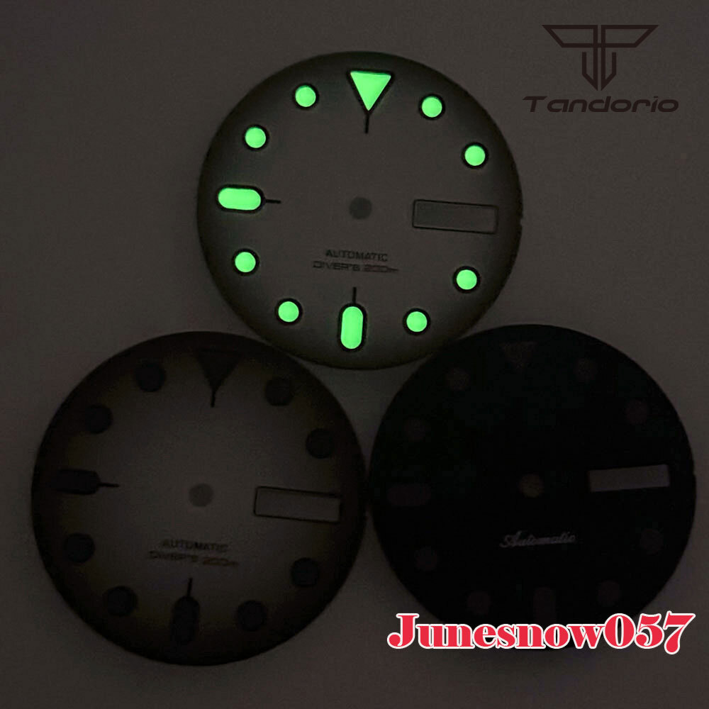 29MM Sterile Vintage Black White Men Watch Dial Accessories Parts Fit NH36 NH36A