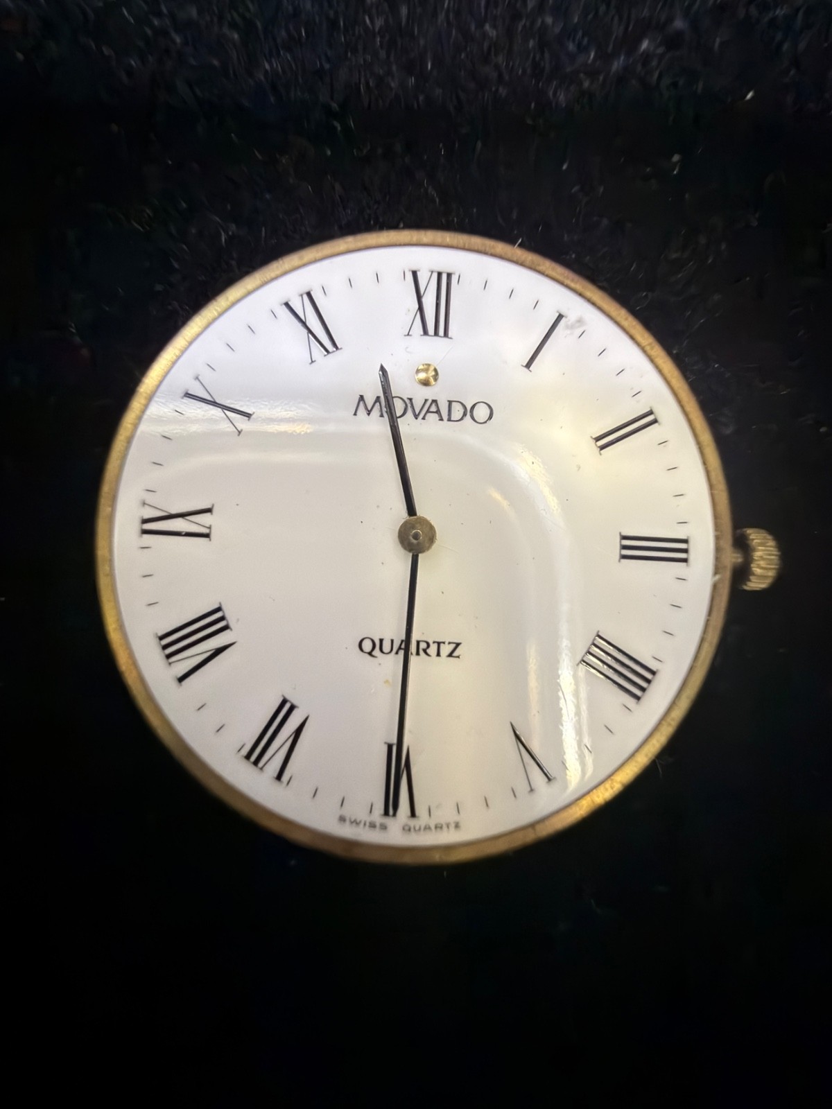 Movado Museum-Style Roman Dial + Swiss Quartz Movement “Six 6 Jewels”