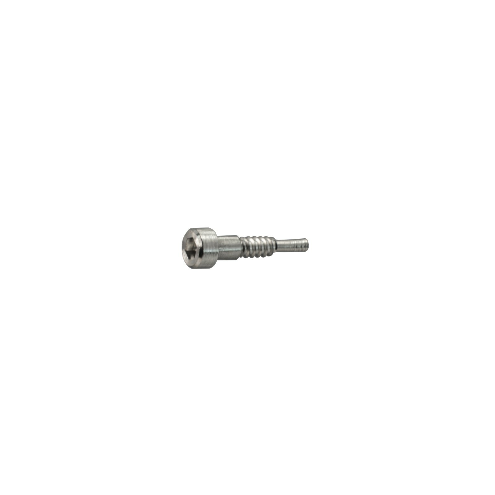 Genuine Casio Bezel Decorative 3H Screw for GR-B200 GR B200 10612464