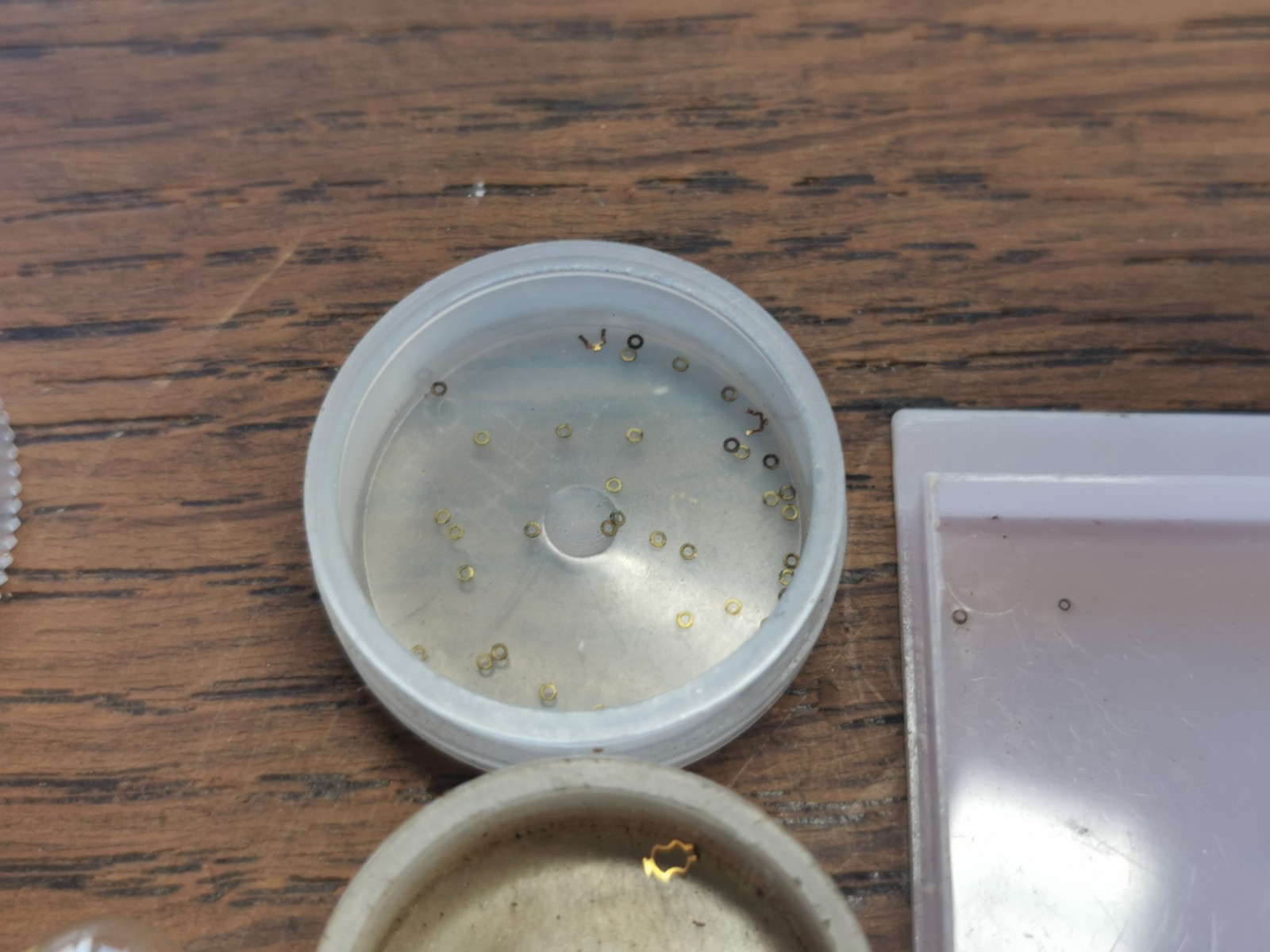 Watch Parts, Cap Jewels, Shock Springs, Chatons, Mostly NOS, Watchmaker #R656