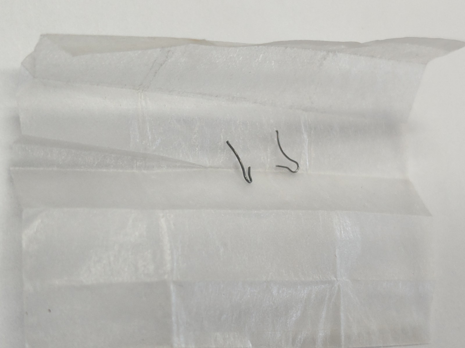 Longines 5LN Setting Spring Wire . New Old Stock Part