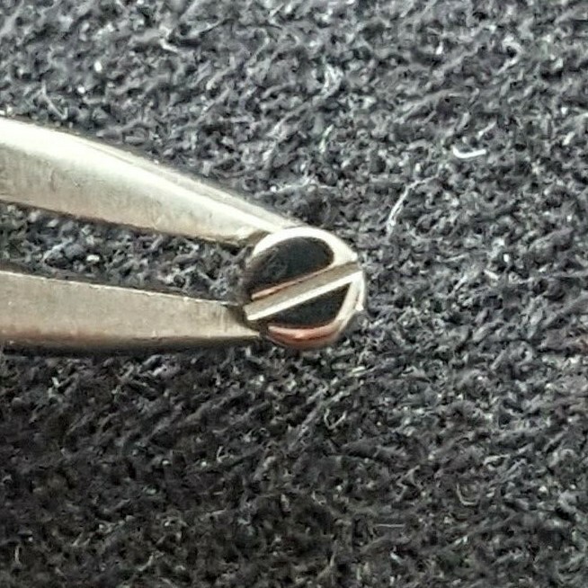 Screw Number 2354 For Hour Recording Yoke For Omega Calibers 861,863,910,911