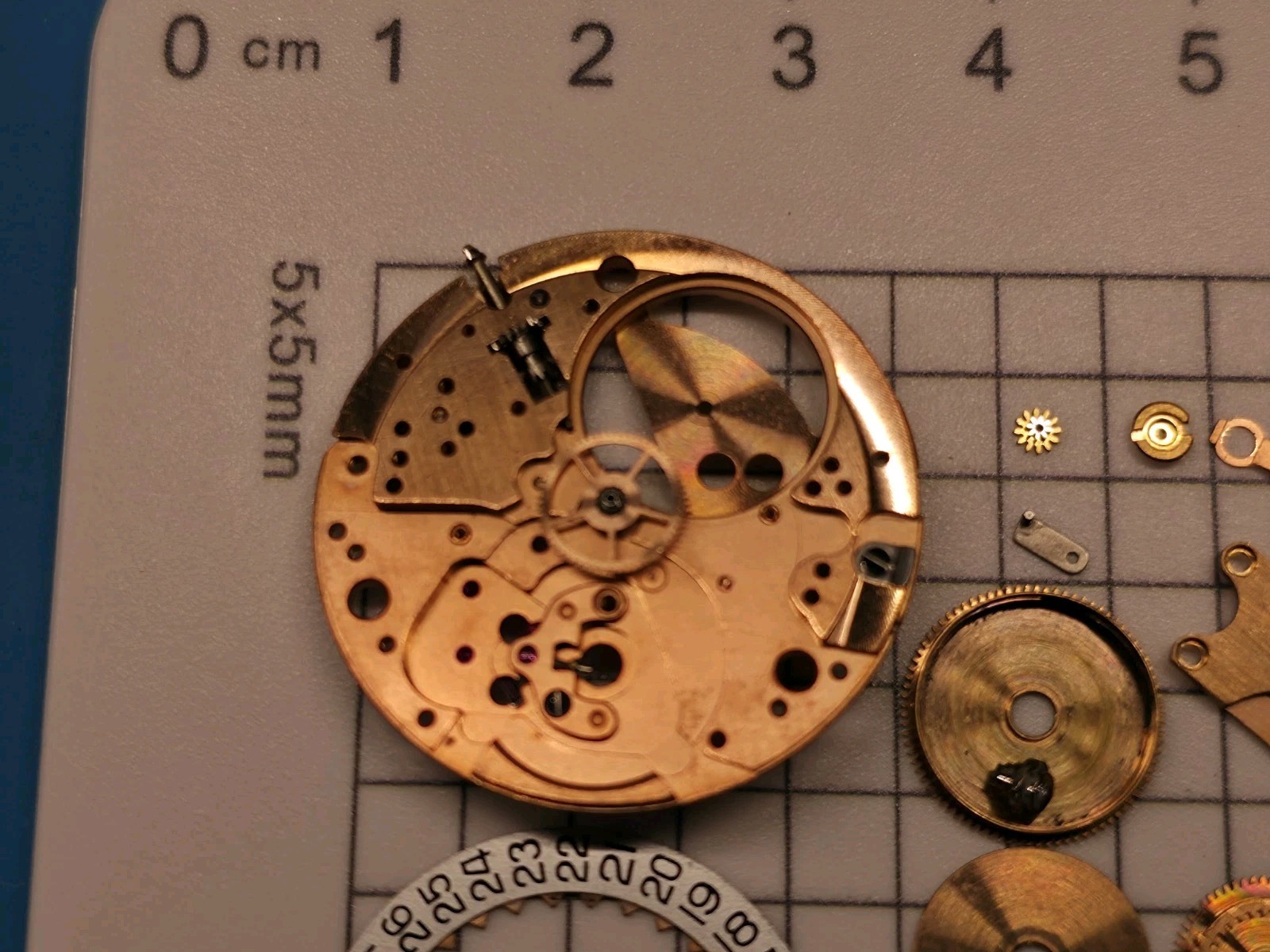 Omega Caliber 565 Movement – Good Balance