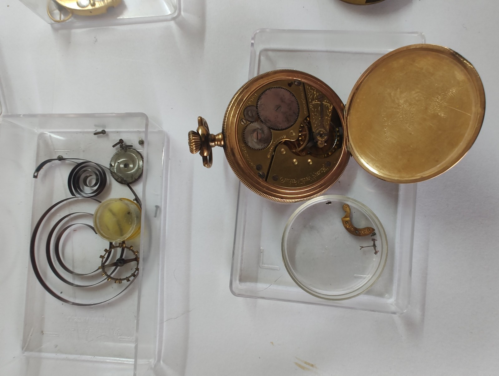 Elite Elgin National Watch Co. Archive: 1900s Movements, Fancy Enamel Dials !!