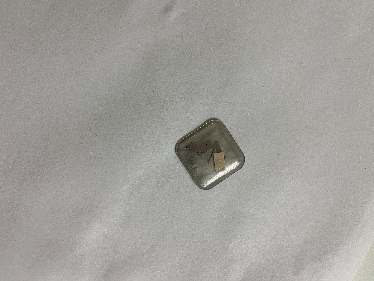 Genuine Rolex 3030 3035 5038 Jumper For Setting Lever Factory sealed package