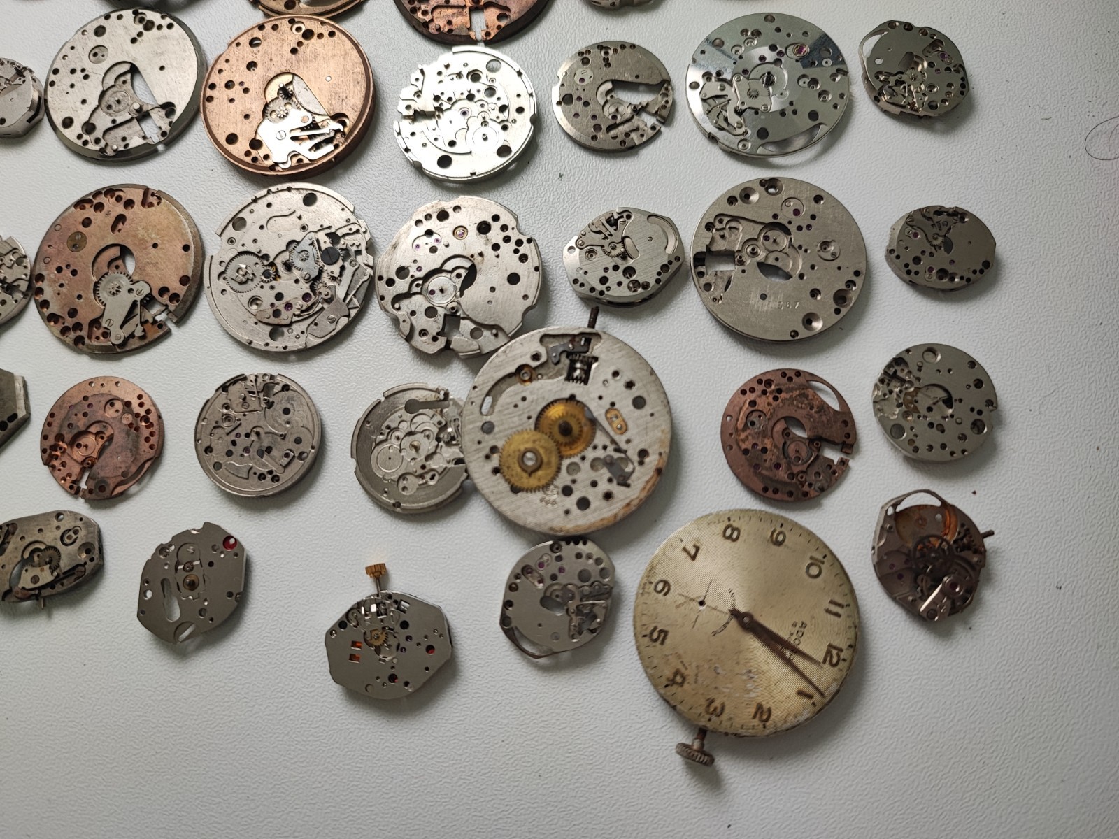 mix Watch Main Plate platinum lot watchmaker brac as fef fe int bfg ut gub ot…
