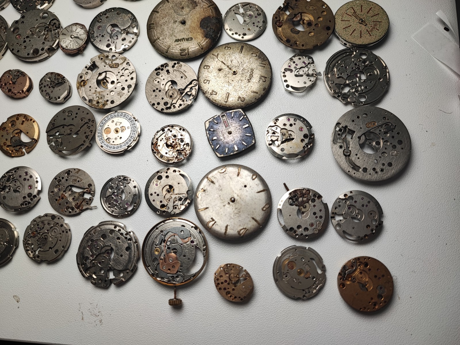 mix Watch Main Plate platinum lot watchmaker ut as arogno fe hp eb fef bfg ot…