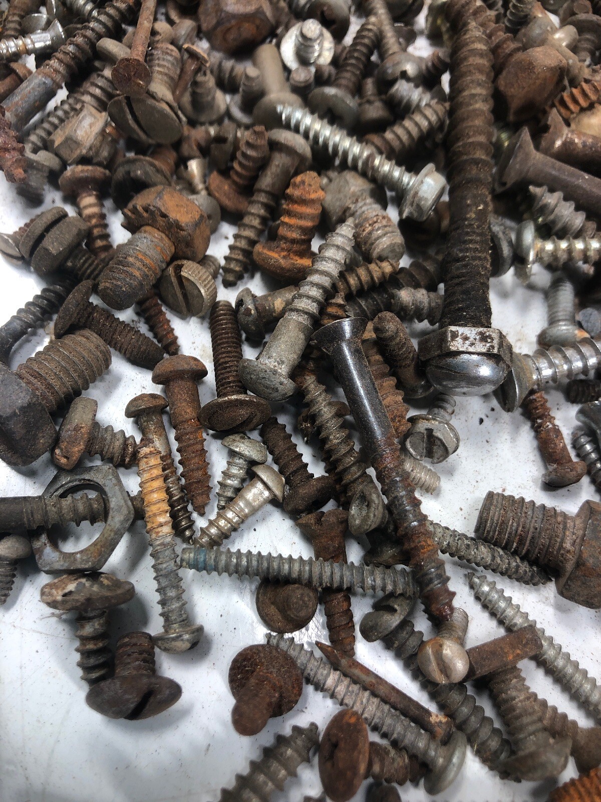 5+ Lbs ANTIQUE AND VINTAGE SCREWS, Fasteners Philips Flat Blade Rustic